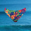 Tahitian Floral Scrunch Bikini Bottom
